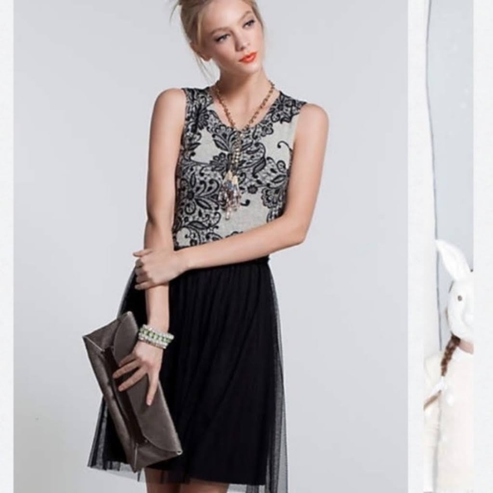 Sweater and tulle Anthropologie dress